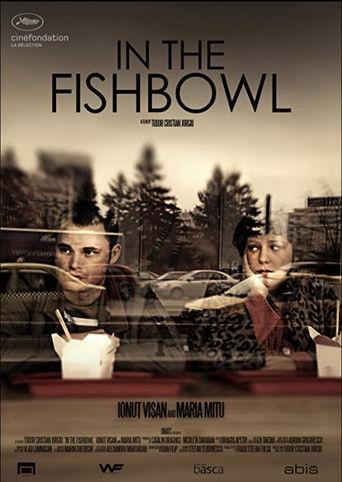 In the Fishbowl film afişi