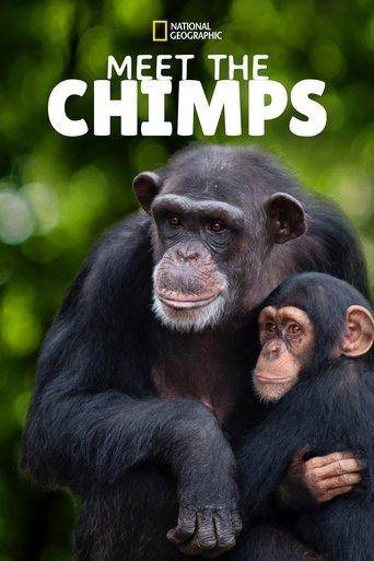 Meet the Chimps dizi afişi