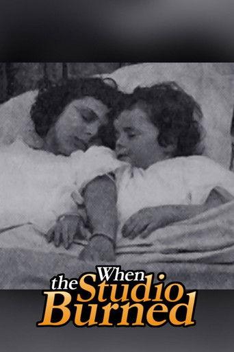 When the Studio Burned film afişi