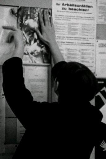 Western for the SDS film afişi