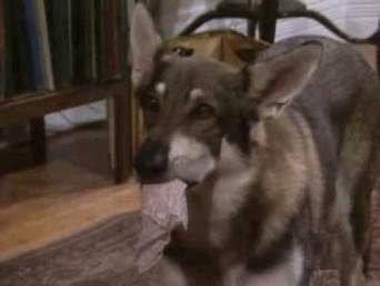 The Loneliest Day of the Week