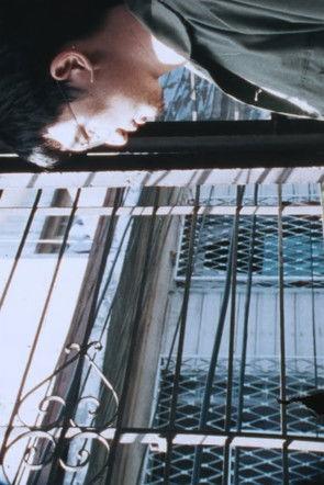 Chicken Soup 2 film afişi