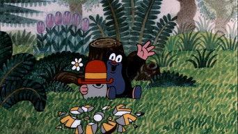 The Mole and the Hat