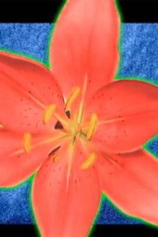 I Thought of You Often film afişi