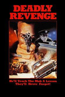 Deadly Revenge film afişi