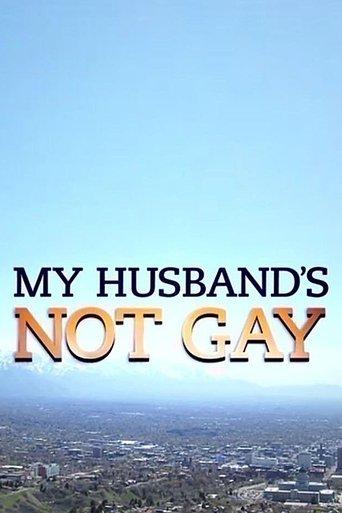 My Husband's Not Gay film afişi
