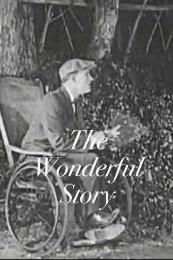 The Wonderful Story film afişi