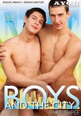 Boys and the City 3 film afişi