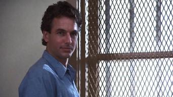 The Deliberate Stranger (2)