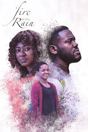 A Fire In The Rain film afişi