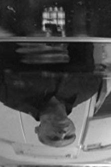 The Fish and I film afişi