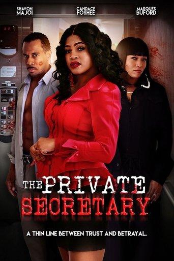 The Private Secretary film afişi