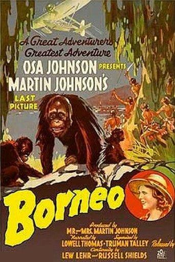 Borneo film afişi