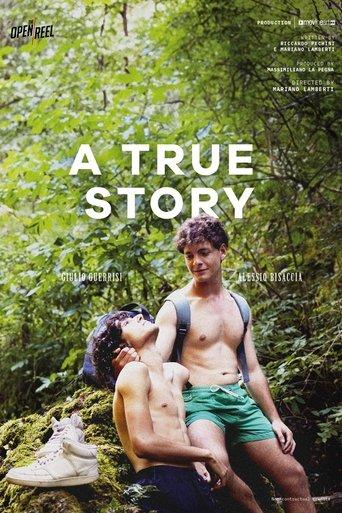 A True Story film afişi