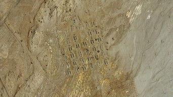 Monsters of Diamond Desert