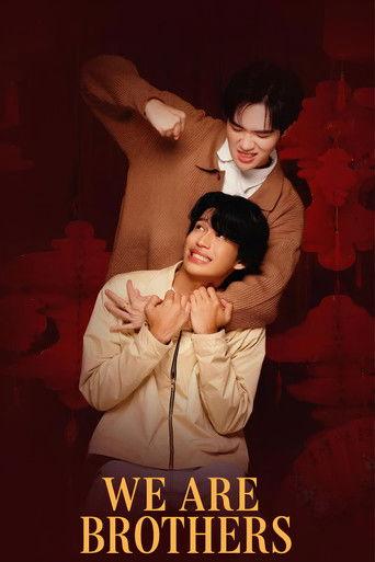 We Are Brothers dizi afişi