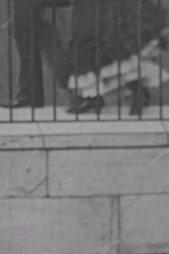 Photograph Taken From An Area Window film afişi