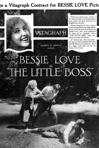 The Little Boss film afişi