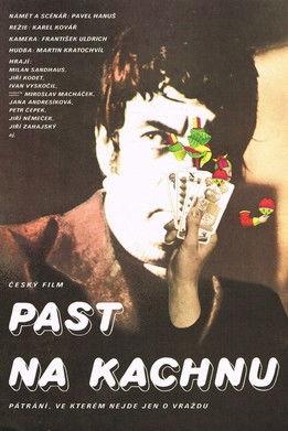 Past na kachnu film afişi