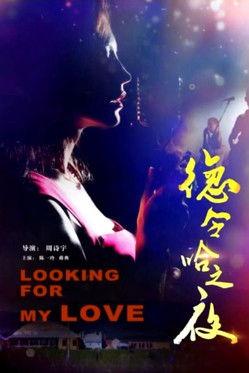 Delhi Night film afişi