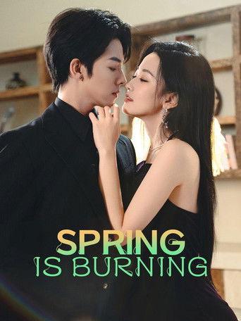 Love in the Spring Night dizi afişi
