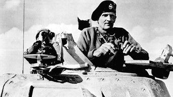 El Alamein to Stalingrad