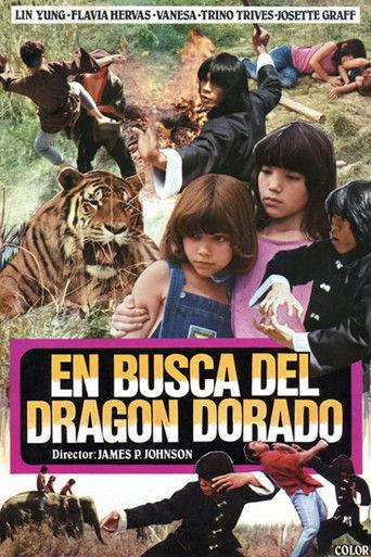 En busca del dragón dorado film afişi