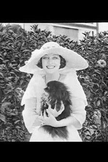 Our Film Stars film afişi