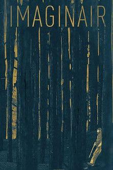 Imaginair film afişi