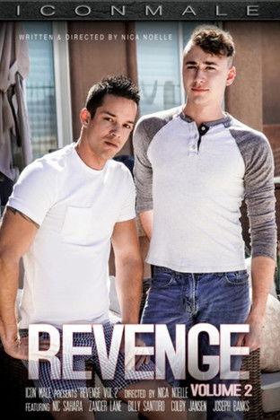 Revenge 2 film afişi