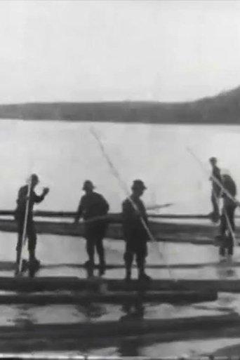 Logging in Maine film afişi