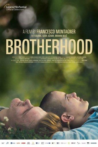 Brotherhood film afişi