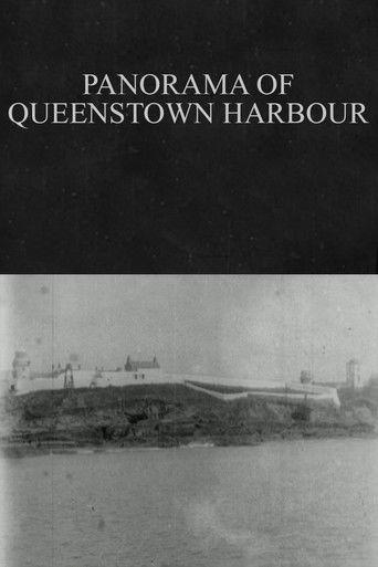 Panorama of Queenstown Harbour film afişi