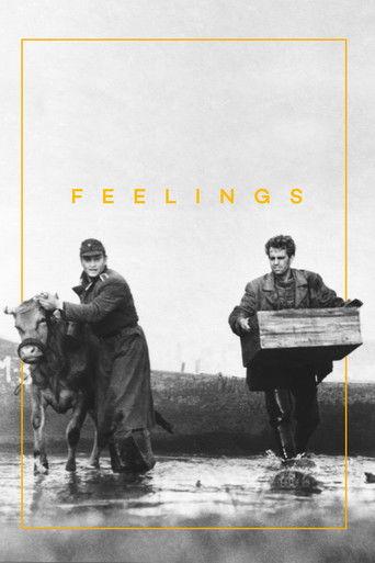 Feelings film afişi