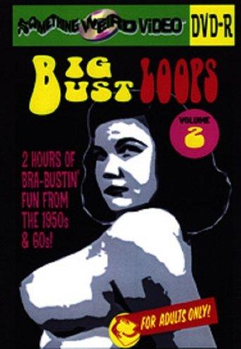 Big Bust Loops Volume 2 film afişi