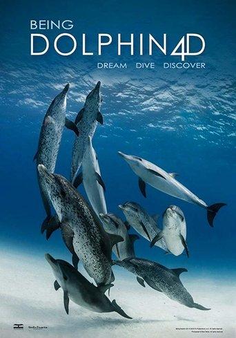 Being Dolphin 4D film afişi