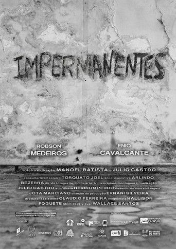 Impermanentes film afişi