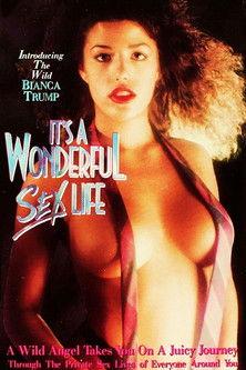 It's a Wonderful Sex Life film afişi