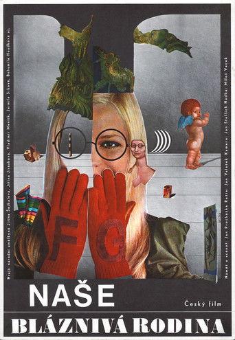 Naše bláznivá rodina film afişi