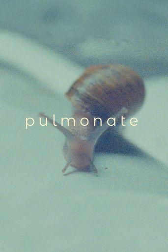 Pulmonate film afişi