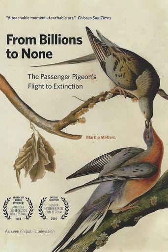 From Billions to None: The Passenger Pigeon's Flight to Extinction film afişi