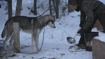 Creature of the Night