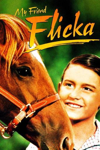 My Friend Flicka film afişi