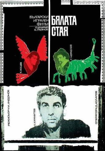 The White Room film afişi