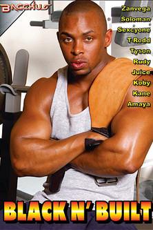 Black n Built film afişi