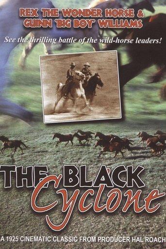 Black Cyclone film afişi
