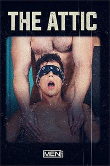 The Attic film afişi