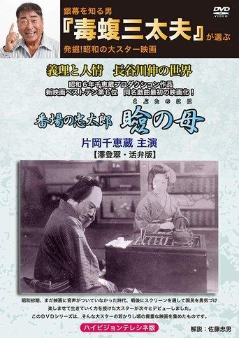 In Search of Mother film afişi