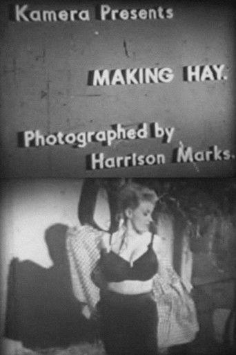 Making Hay film afişi