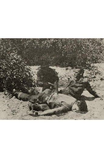 Medicine Bend film afişi